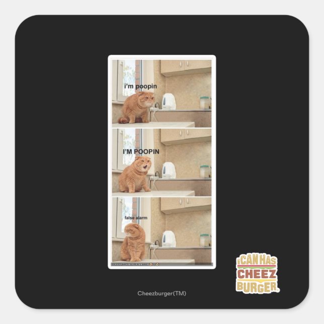 Ich bin Poopin! Quadratischer Aufkleber (Vorderseite)