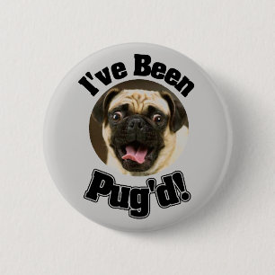 Ich bin Pug'd - lustiger Mops-Knopf gewesen Button