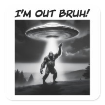 Ich bin raus Bruh! UFO