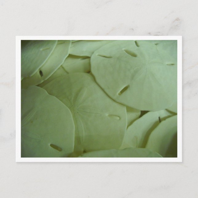 Ich bin reich! postkarte (Vorderseite)