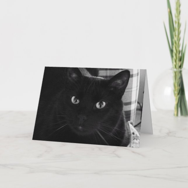 Ich bin schockiert Black Cat Birthday Card Karte (Vorderseite)