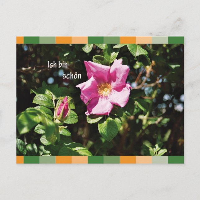 Ich bin schoen postkarte (Vorderseite)