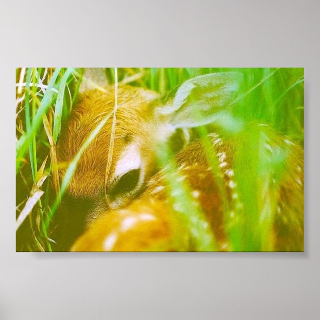 Ich bin schüchtern poster (Vorne)