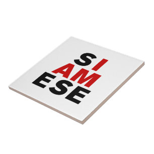 ICH BIN SIAMESE FLIESE