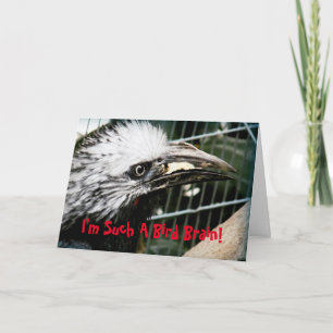 Ich bin so eine Vogelgewitter-Beliebte Geburtstags Karte