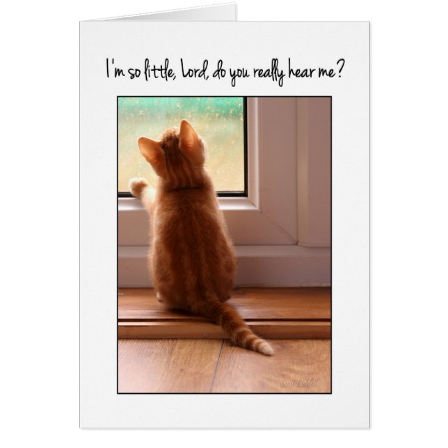 Ich bin so kleiner Herr, hörst du mich? Kätzchen (Vorne)