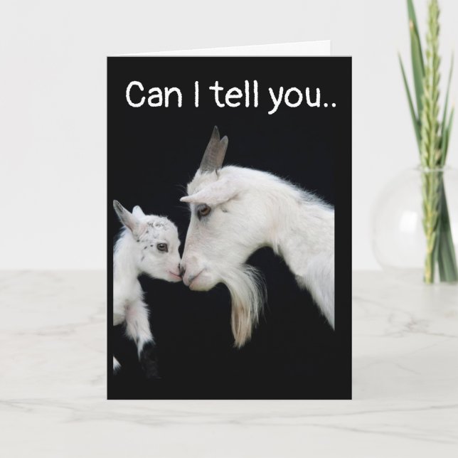 ICH BIN SO **SAD** UND SO **SORRY** CARD KARTE (Vorderseite)