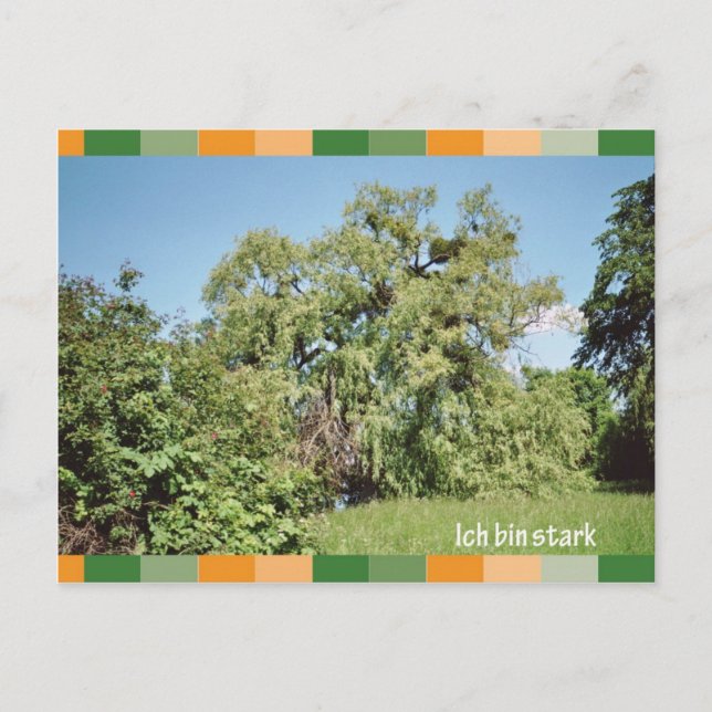 Ich bin stark postkarte (Vorderseite)