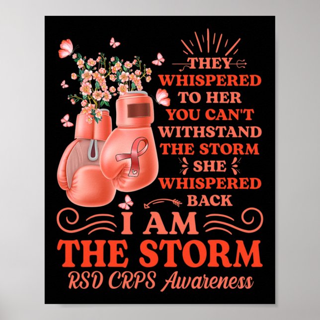 Ich bin Storm Rsd Crps Bewusstsein Boxhandschuhe,  Poster (Vorne)