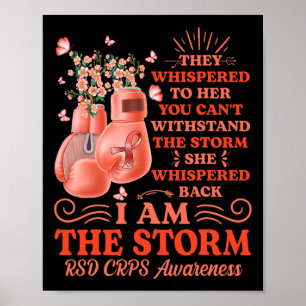 Ich bin Storm Rsd Crps Bewusstsein Boxhandschuhe,  Poster