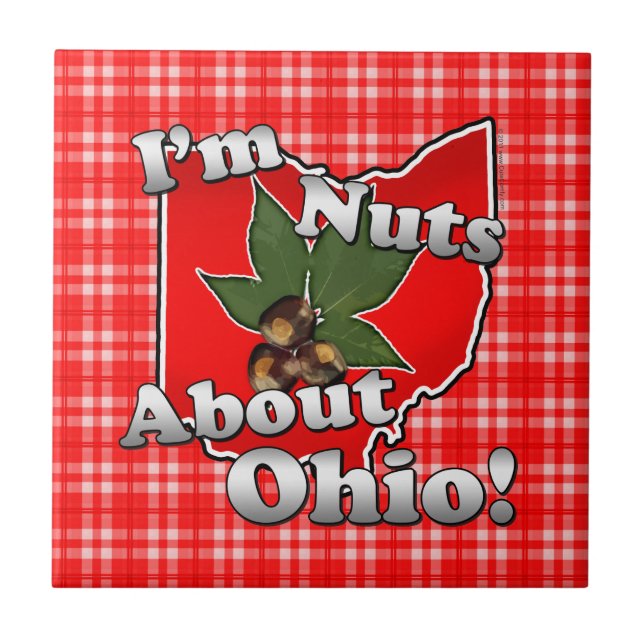 Ich bin über Ohio, lustige rote Rosskastanien-Nuss Fliese (Vorderseite)