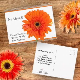 Ich bin umgezogen! Orange Gerbera mit Holz Postkar Ankündigungspostkarte