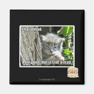 Ich bin verrückt magnet