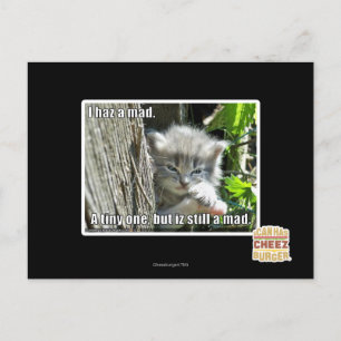 Ich bin verrückt postkarte