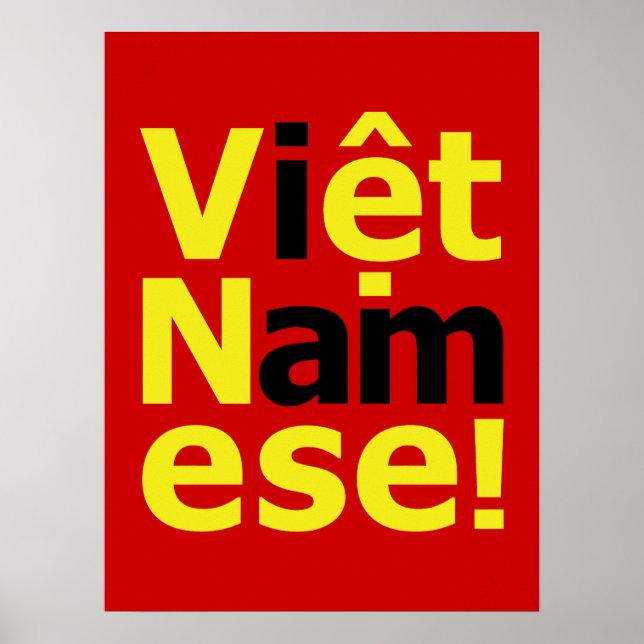 Ich bin Viborett Namese! Poster (Vorne)
