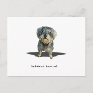 Ich bin wenig, aber ich kenne Material Postkarte