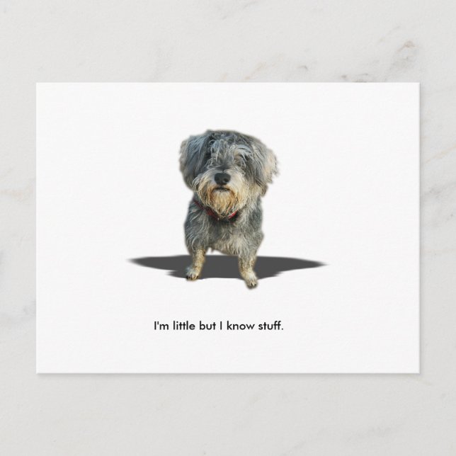 Ich bin wenig, aber ich kenne Material Postkarte (Vorderseite)