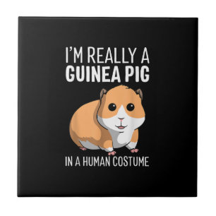 Ich bin wirklich eine Guinea, die in einem menschl Fliese