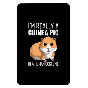 Ich bin wirklich eine Guinea, die in einem menschl Magnet