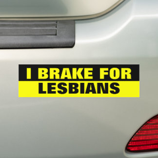ICH BRAKE FÜR LESBIANER AUTOAUFKLEBER