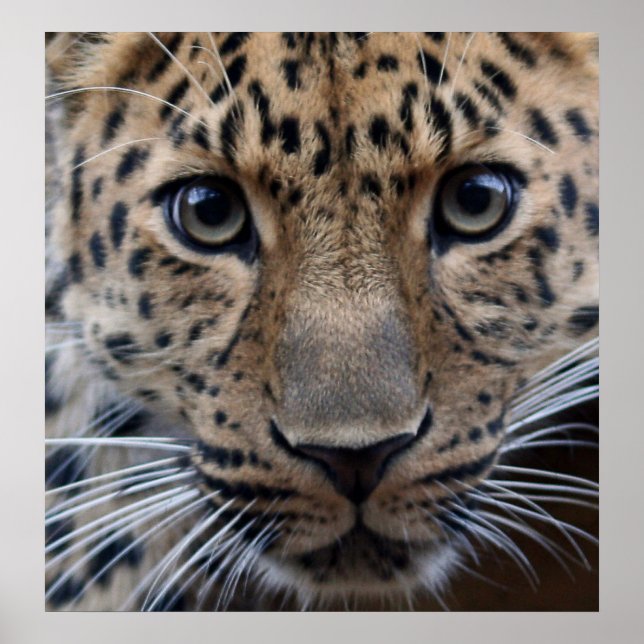 Ich brauche dich... poster (Vorne)