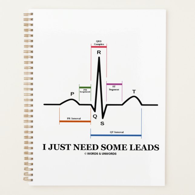 Ich brauche nur ein paar führende EKG EKG Medical  Planer (Vorderseite)