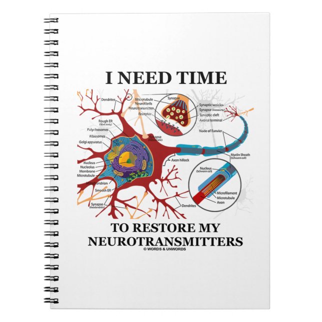 Ich brauche Zeit, um meine Neurotransmitter wieder Notizblock (Vorderseite)