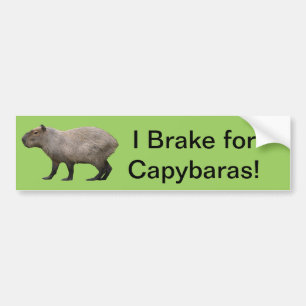 Ich bremse für Capybara Autoaufkleber