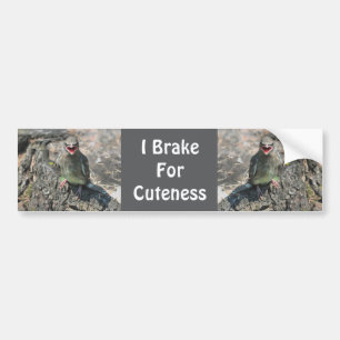 Ich bremse für Cutness Baby Bird Autoaufkleber