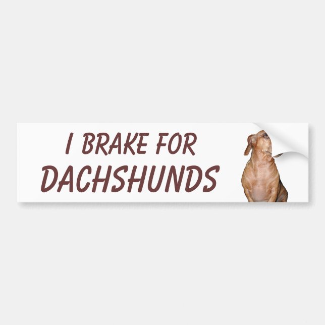 ICH BREMSE FÜR DACKELN AUTOAUFKLEBER (Vorne)