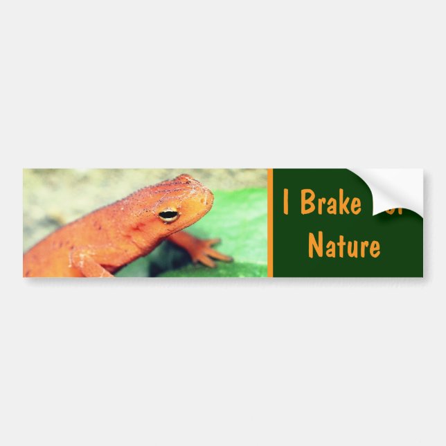 Ich bremse für Natursalamander Autoaufkleber (Vorne)