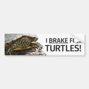"Ich bremse für Schildkröten" Autoaufkleber