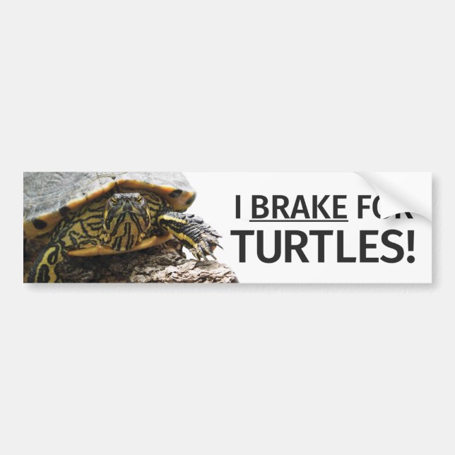 "Ich bremse für Schildkröten" Autoaufkleber (Vorne)