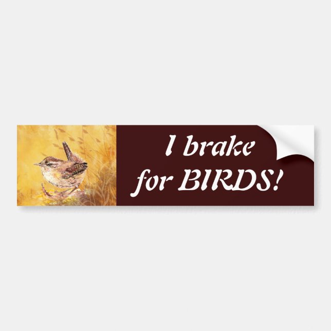Ich bremse für Vögel - Vogelbeobachtung mit Niedli Autoaufkleber (Vorne)