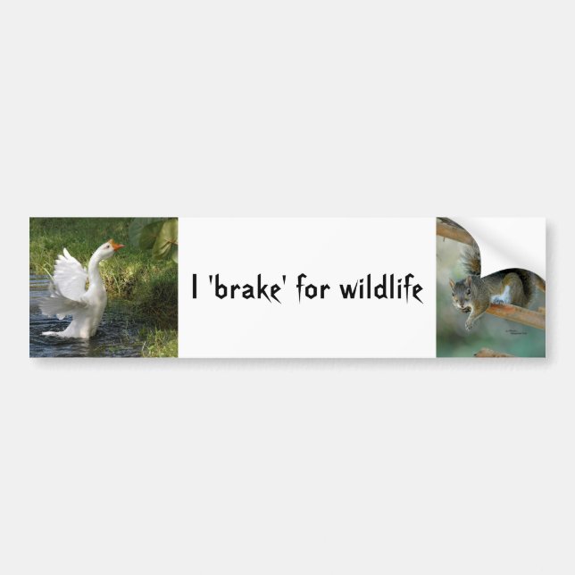 Ich bremse für wilde Gänsequirrel-Autoaufkleber Autoaufkleber (Vorne)