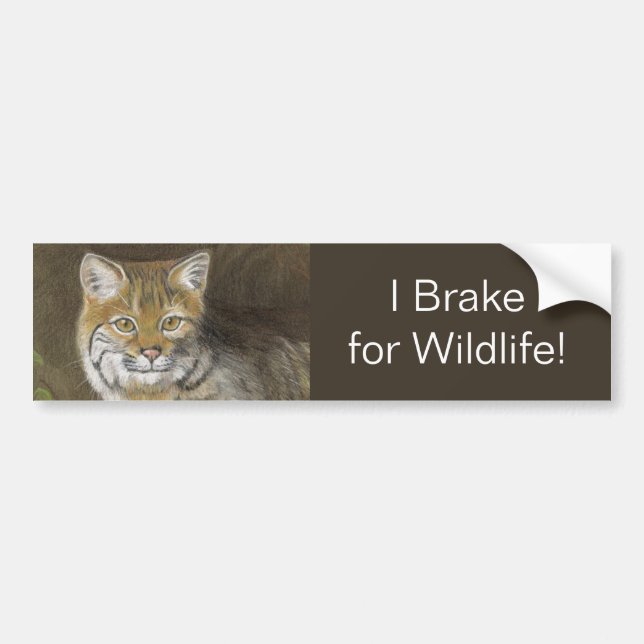Ich bremse für Wildtiere Bobcat Autoaufkleber (Vorne)