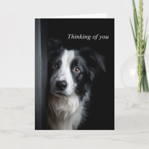 Ich denke an Dich Border Collie Karte