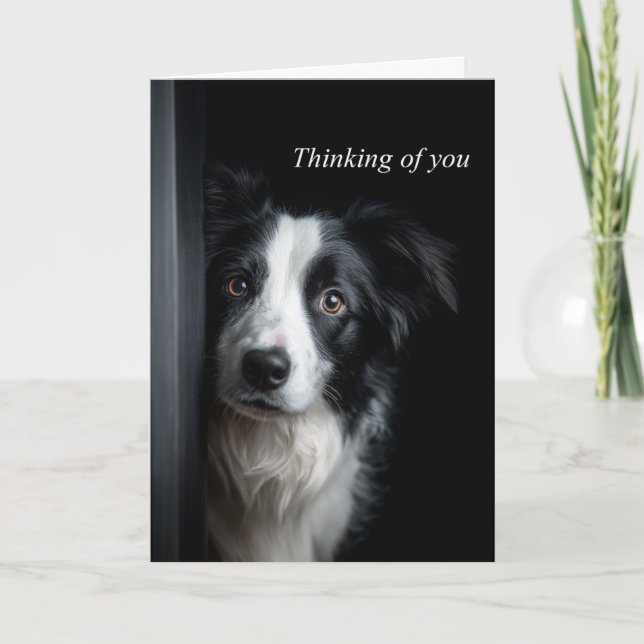 Ich denke an Dich Border Collie Karte (Vorderseite)