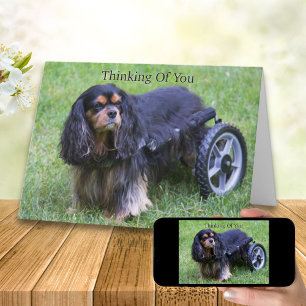 Ich denke an Dich Cavalier King Charles Behinderun Karte