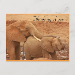 Ich denke an euch Afrikanische Elefanten Postkarte