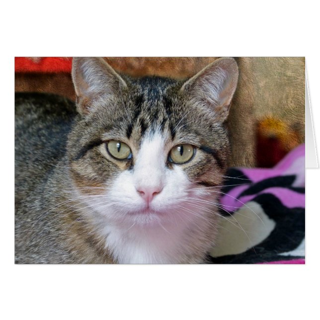 Ich denke darüber nach (Vorderseite (Horizontal))