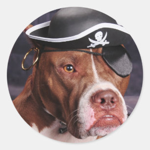 Ich denke, dass ich ein Pirat bin! Runder Aufkleber