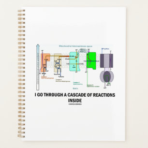 Ich durchquere eine Kaskade von Reaktionen im Inne Planer