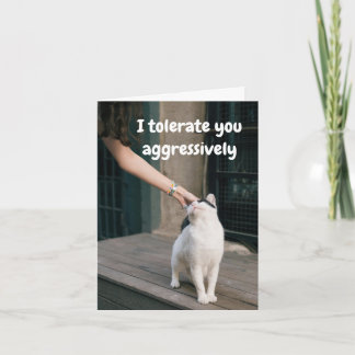 Ich ertrage dich lustig von der Katze Karte
