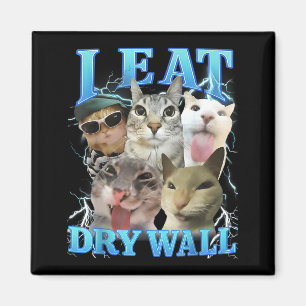 Ich esse Trockenwand Lustiges Katzen-Meme Magnet