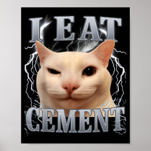 Ich esse Zement Dummer Katzen-Meme Lustige Männer Poster