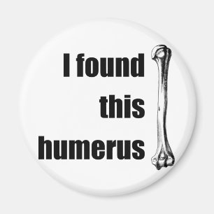 Ich fand diesen Humerus Magnet