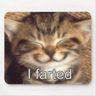 Ich farted Kätzchen mousepad