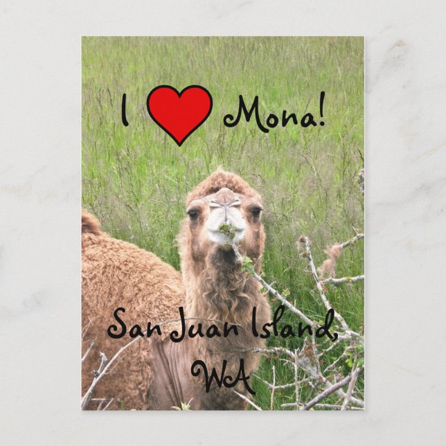 Ich finde Mona toll! Postkarte (Vorderseite)