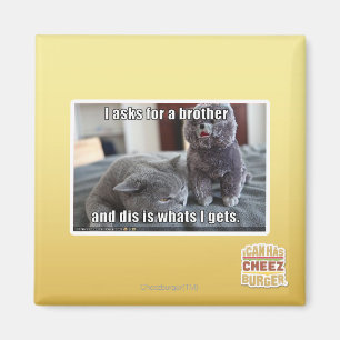 Ich fragte für einen Bruder Magnet